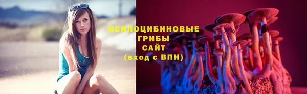 бутират Россошь