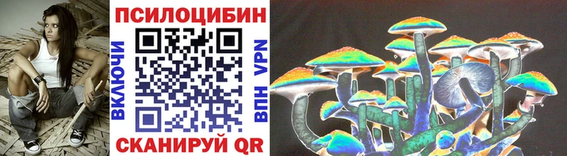 Галлюциногенные грибы Psilocybine cubensis где продают наркотики Южноуральск